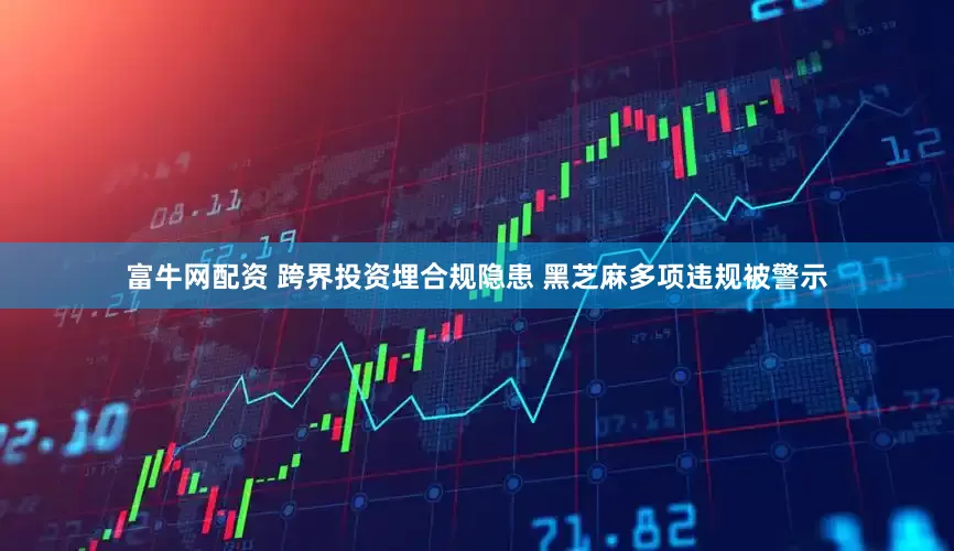 富牛网配资 跨界投资埋合规隐患 黑芝麻多项违规被警示