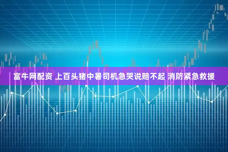 富牛网配资 上百头猪中暑司机急哭说赔不起 消防紧急救援