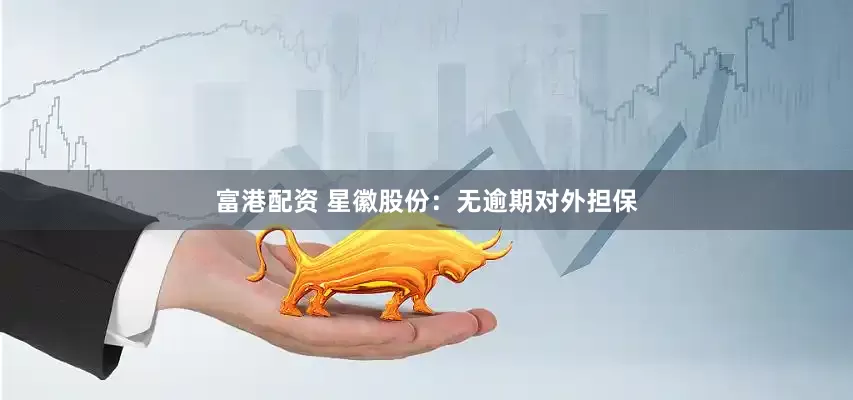 富港配资 星徽股份：无逾期对外担保