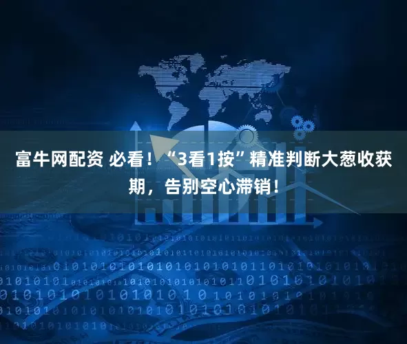 富牛网配资 必看！“3看1按”精准判断大葱收获期，告别空心滞销！